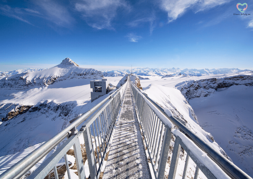 Glacier 3000 Ausflug Schweiz